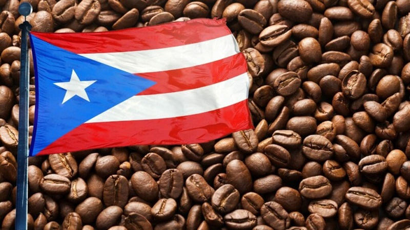 Puerto-Rico-Coffee-1024x576