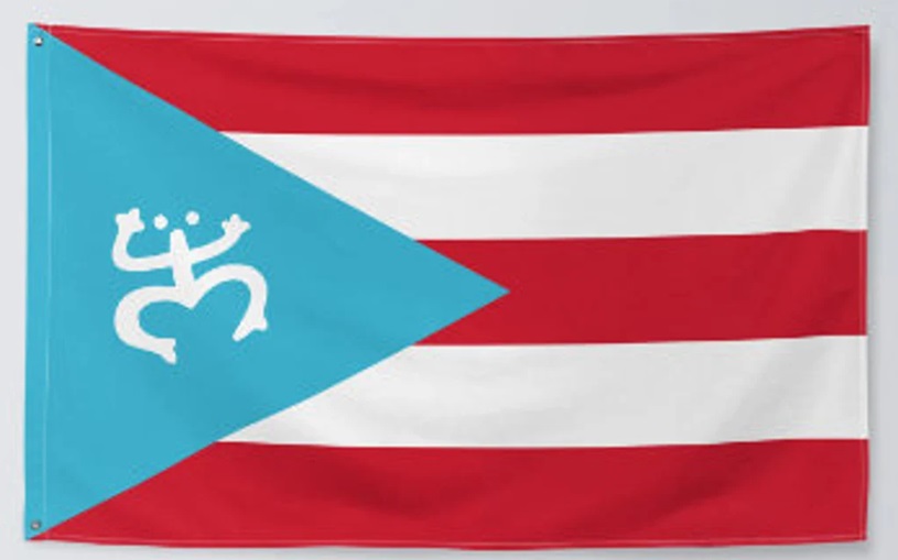 bandera c coqui